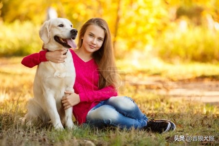 拉布拉多刚接回来太顽皮怎么处理,拉布拉多总是兴奋扑人怎么纠正