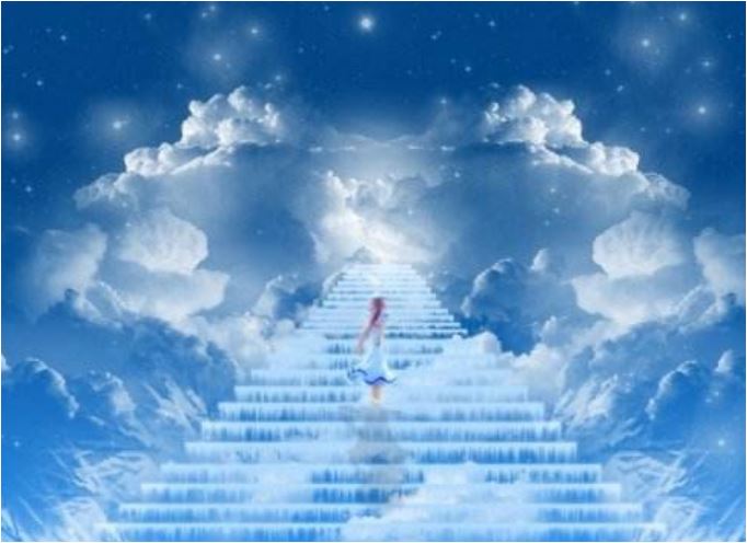 武志红最经典的书推荐,武志红推荐哲学书籍