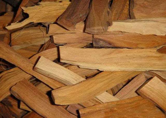 世界最奇怪的植物是什么,世界最奇特的树种