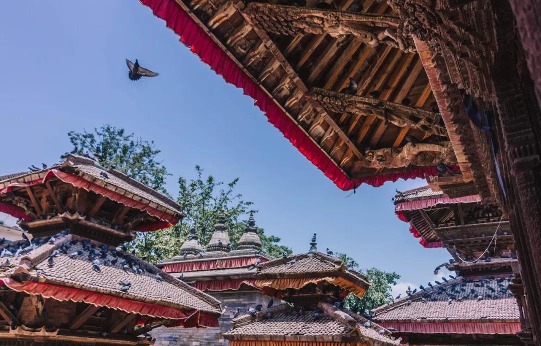 这个微笑国度，见人就夸漂亮，300元就能在天空滑翔