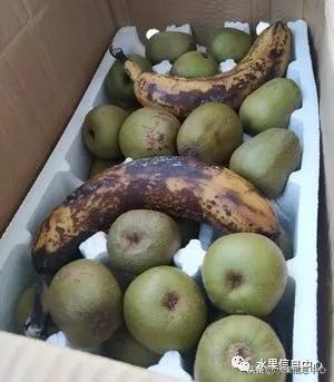 在网上买水果有哪些坑,在网上买水果划算吗