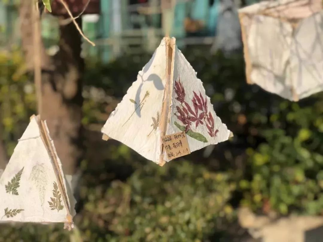 幼儿园生成课程案例,幼儿园关于纸的课程