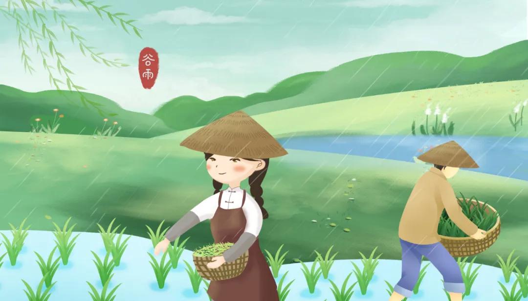 谷雨养生牢记健脾养肝的三个秘诀,春季养肝祛湿最佳方法图片