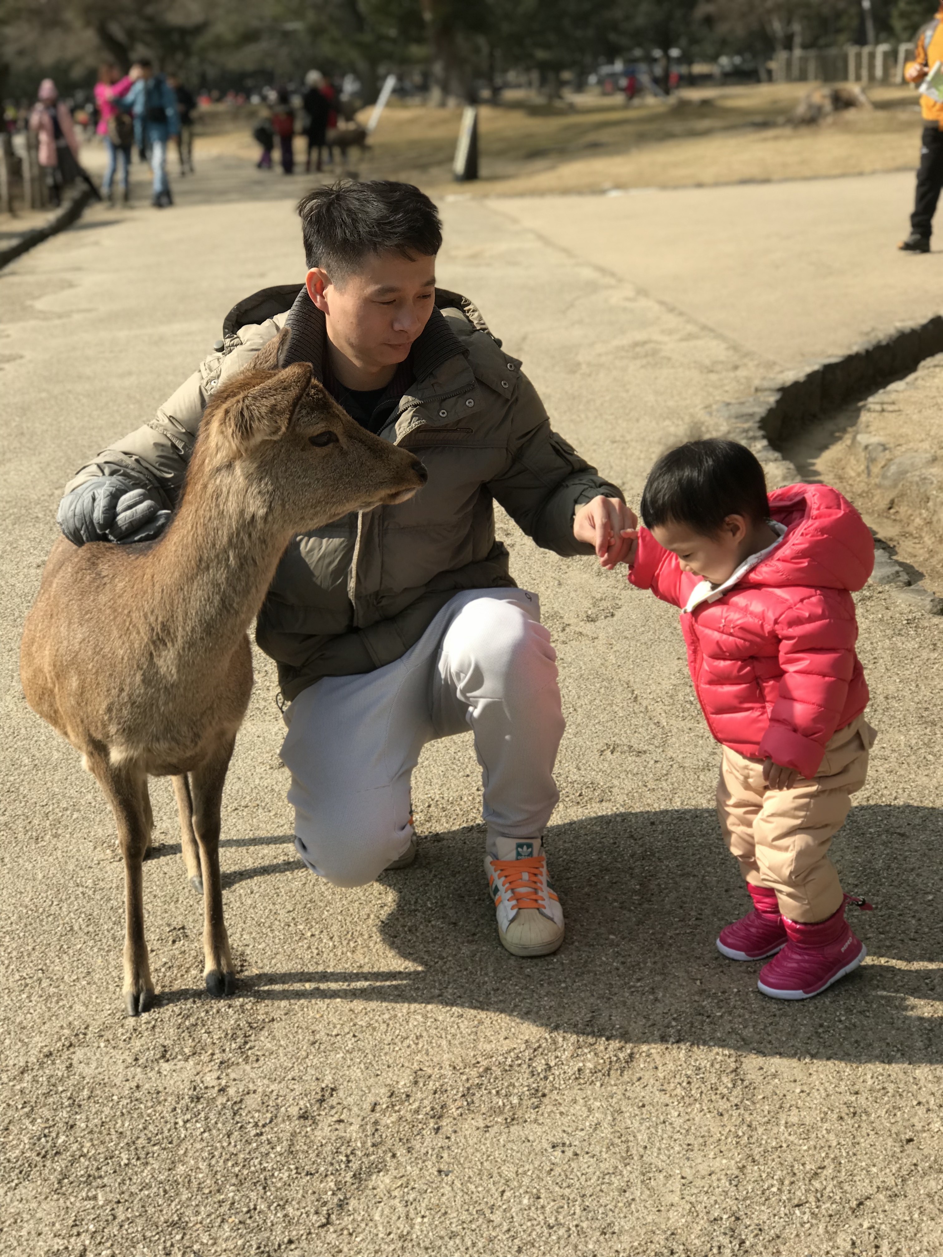 日本九州自驾游最佳路线,第一次去日本应该怎么玩