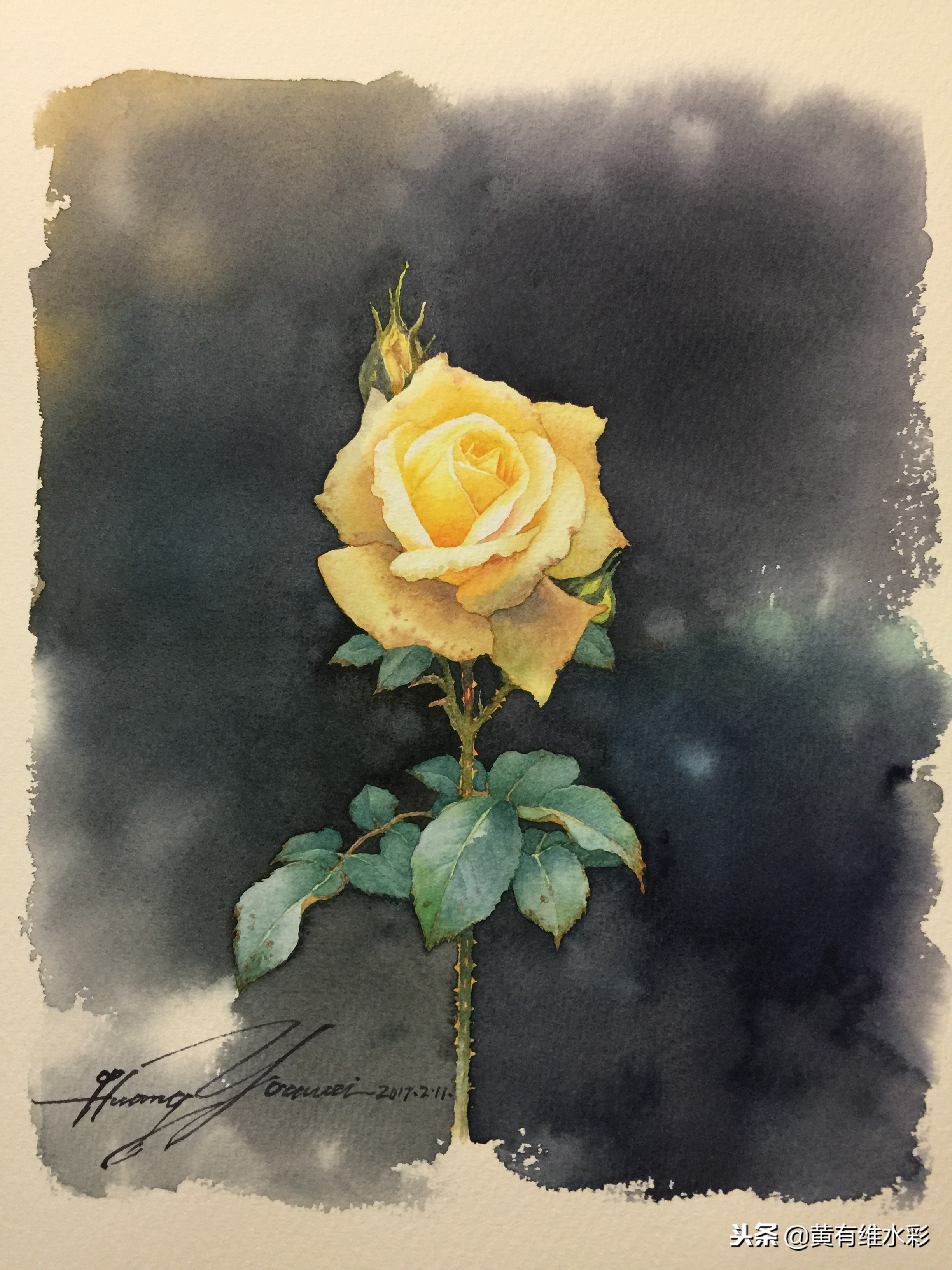 零基础入门水彩的基本画法,黄玫瑰水彩晕染