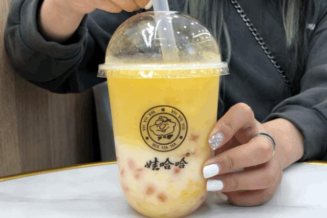 娃哈哈在西安开奶茶店,娃哈哈奶茶店西安
