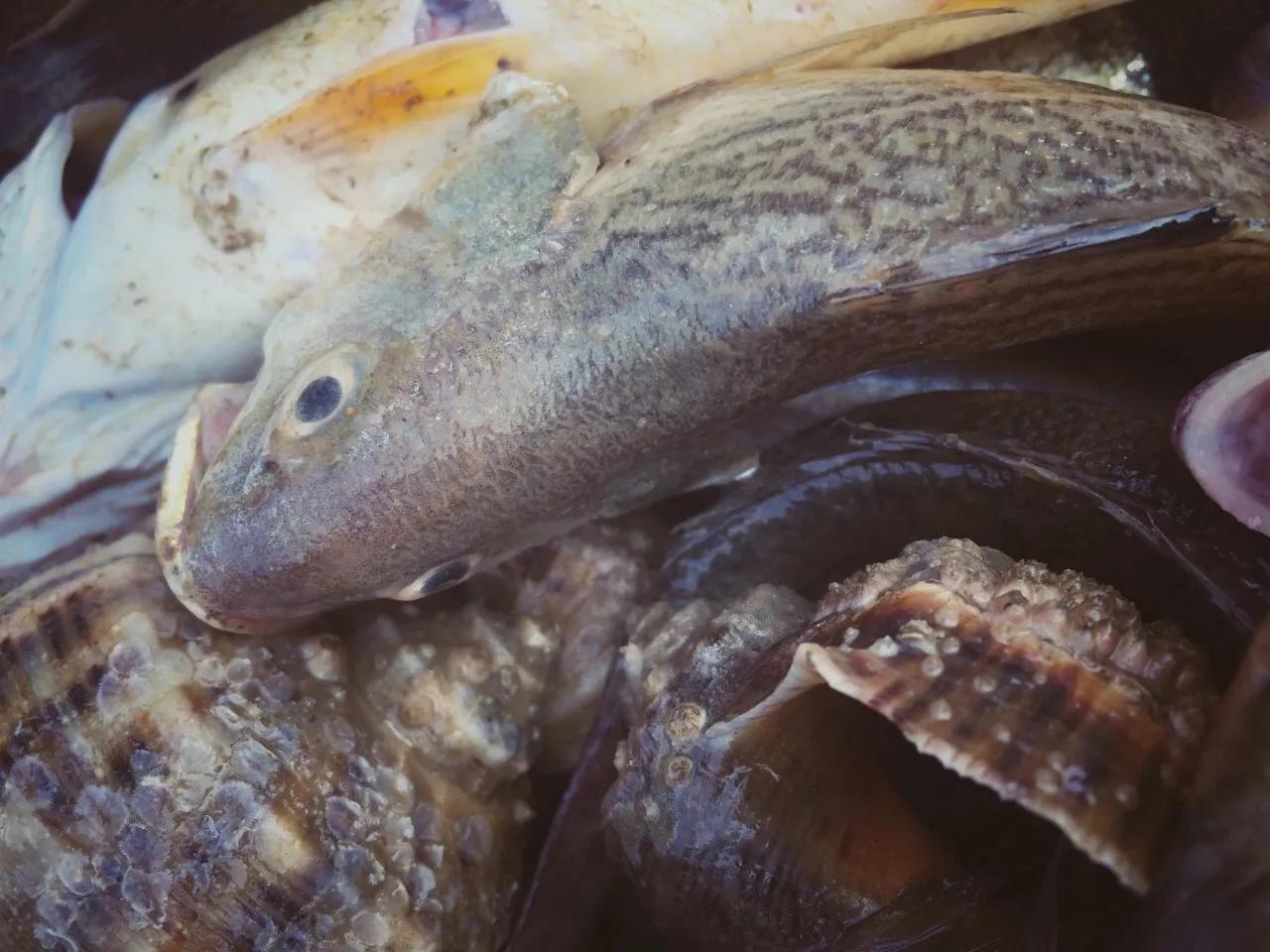 辽东半岛小渔村,辽南小渔村