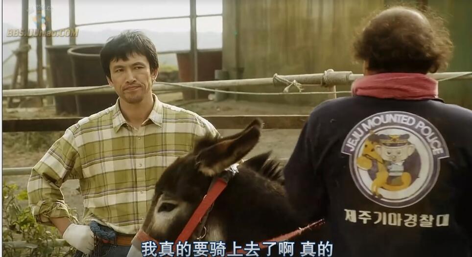 一人一马攀登高峰望故乡完整版,一人一马励志电影