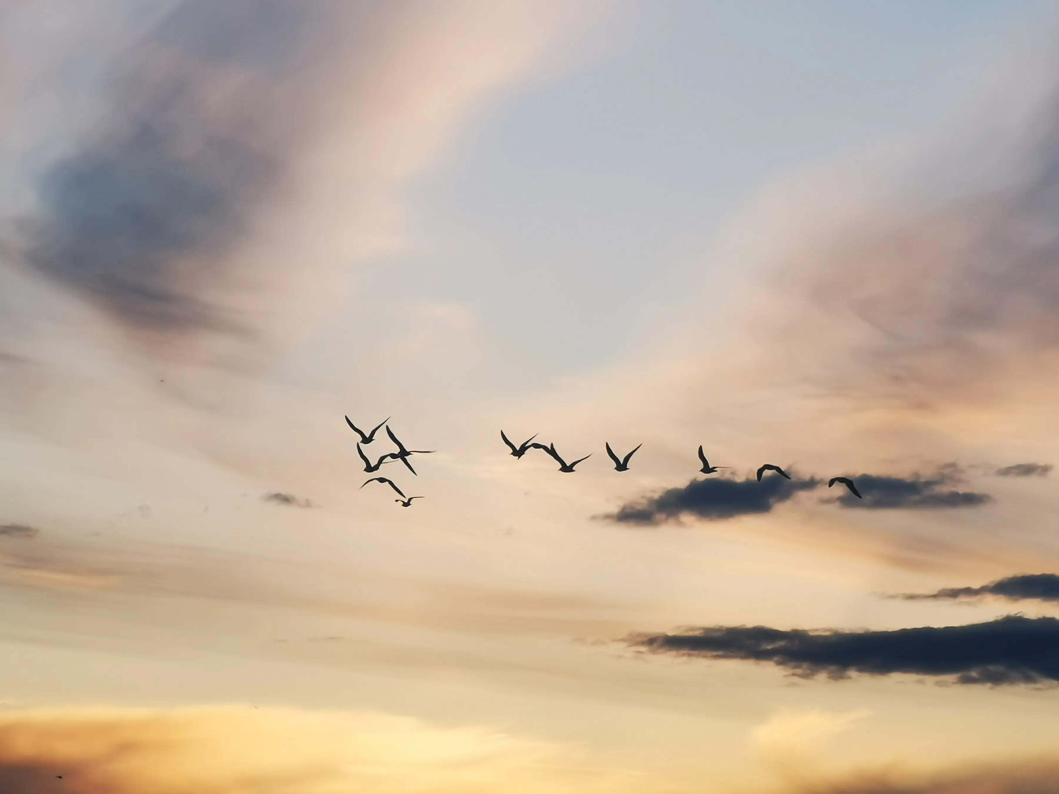 手拍世界（手机摄影平台）-群员作品集（总第671期）