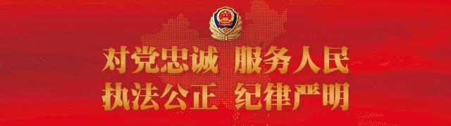 反诈宣传月警惕杀猪盘骗局,反诈攻略警惕杀猪盘远离温柔陷阱