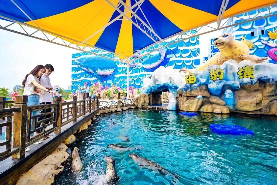 西安海洋公园地址,西安华夏文旅海洋公园