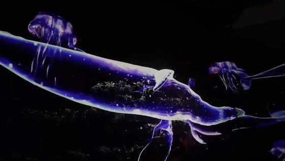 深圳欢乐谷潮玩节攻略,夏日玩水圣地深圳