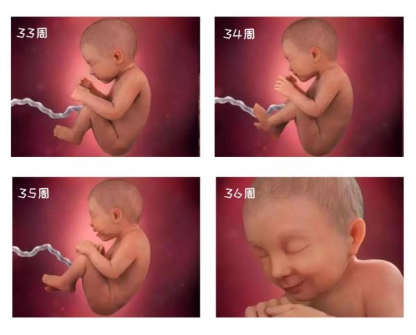 探索生命的奥秘，组图带你了解孕妈怀孕40周，胎儿第一周的变化