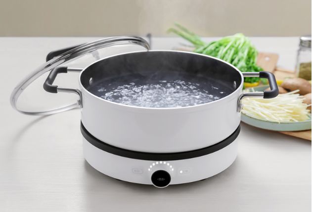 电磁炉什么牌子最好用又实惠,电磁炉什么牌子好又实惠