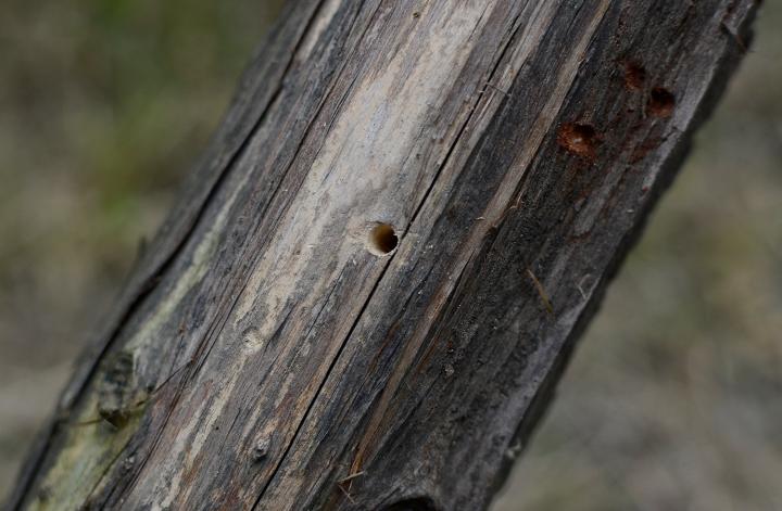 威克士无刷电钻we210拆解,家用锂电电动工具