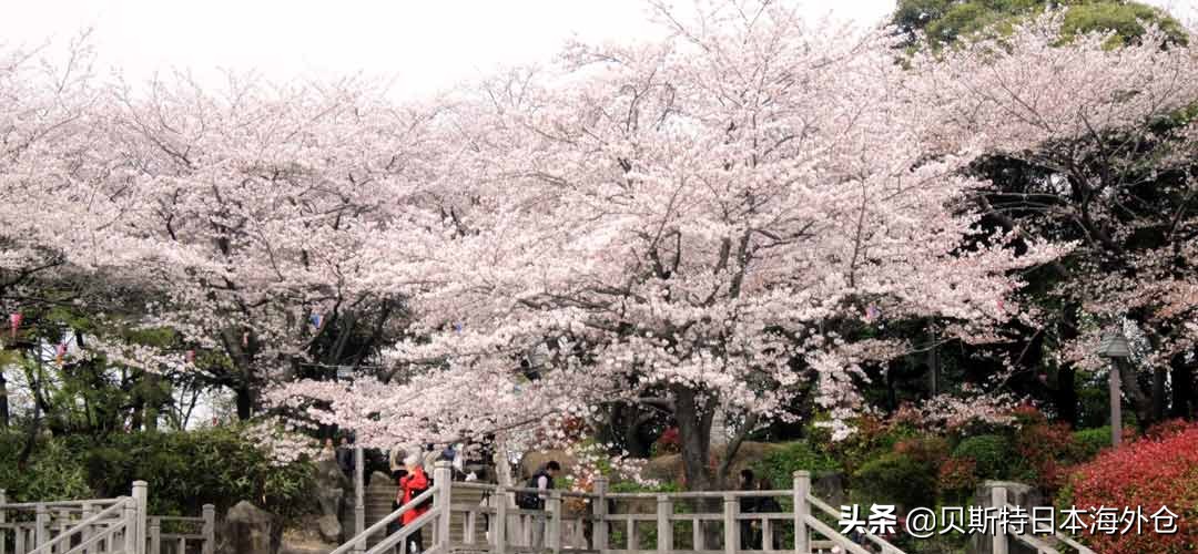 日本东京哪个区比较好,日本东京二十区排名