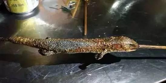 80后儿时玩物“狗婆蛇”，因犯了大忌，如今已是濒危保护动物？