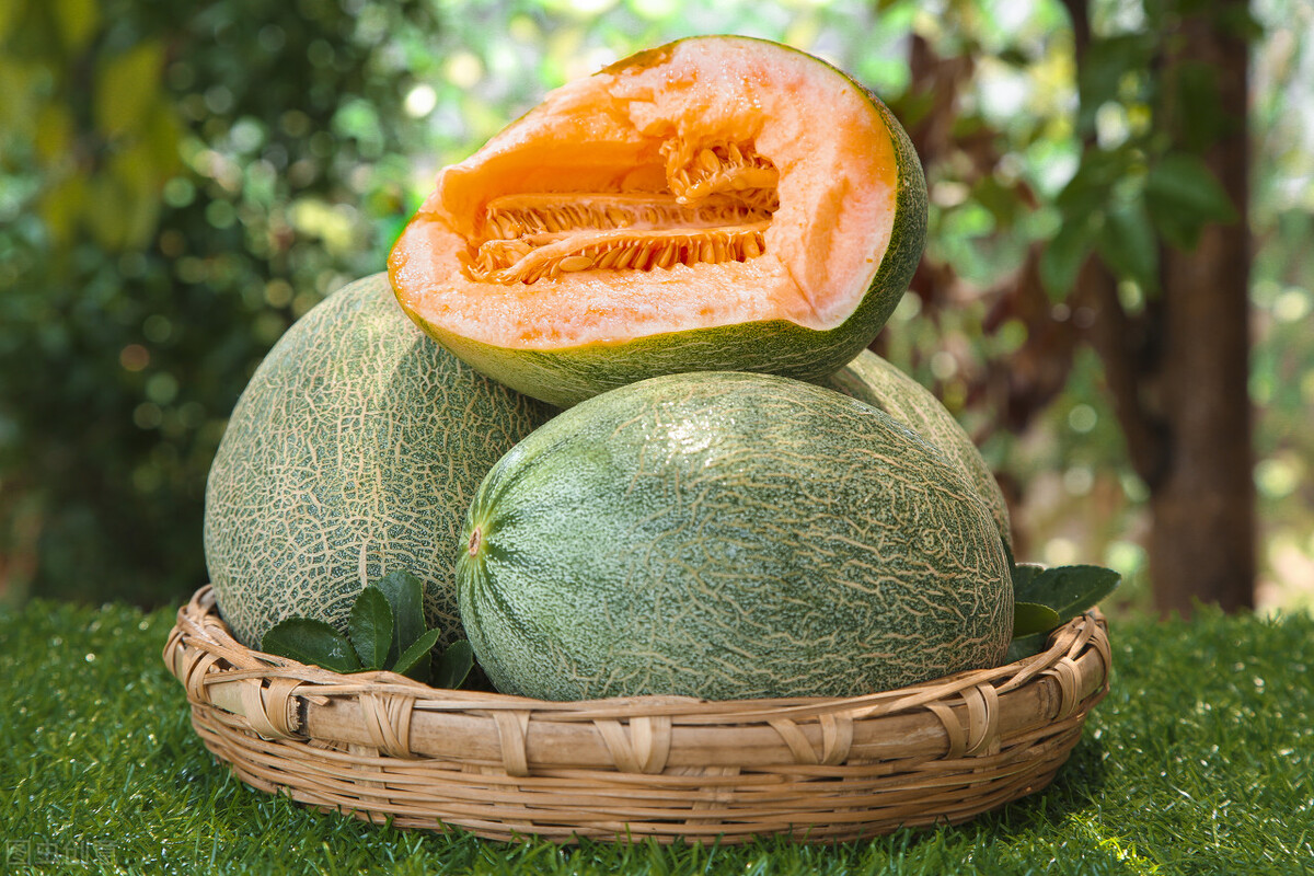 哈密瓜表面发霉还能吃吗,哈密瓜外面发霉了还可以吃吗