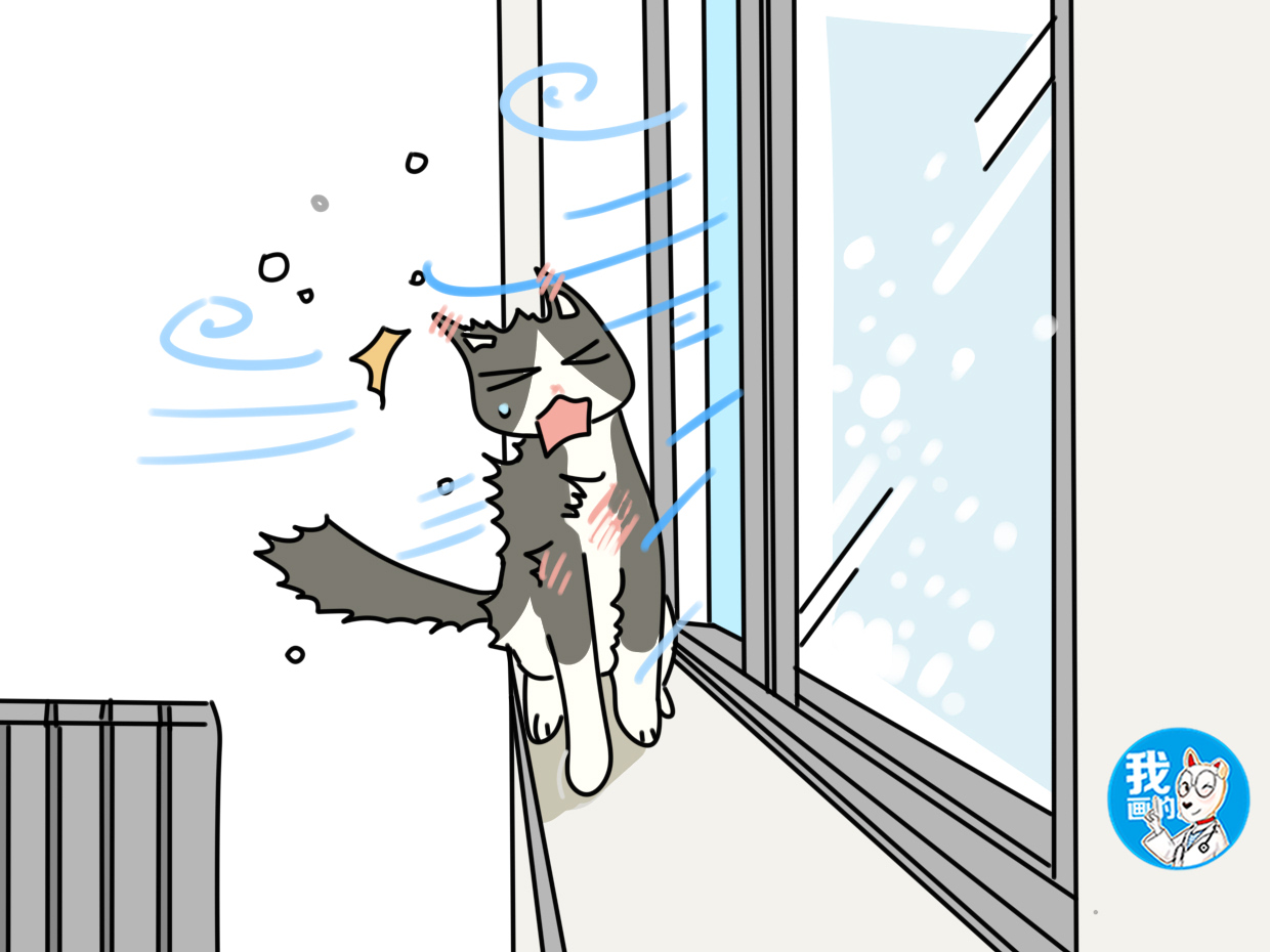 猫咪会被冻伤吗,猫咪冷感冒了会自愈吗