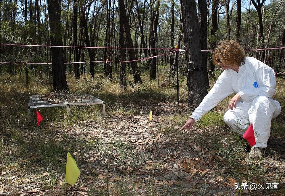 国外诈尸事件,世界上有没有诈尸事件
