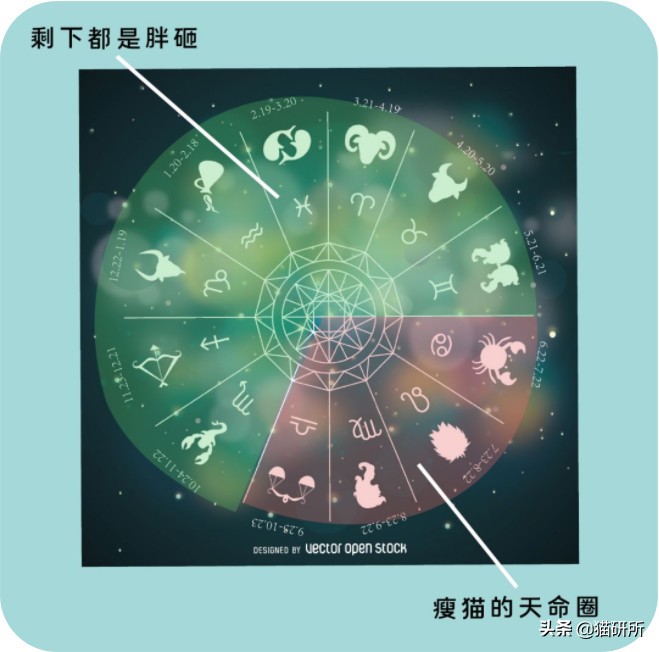 这9个猫界冷知识，你知道么？