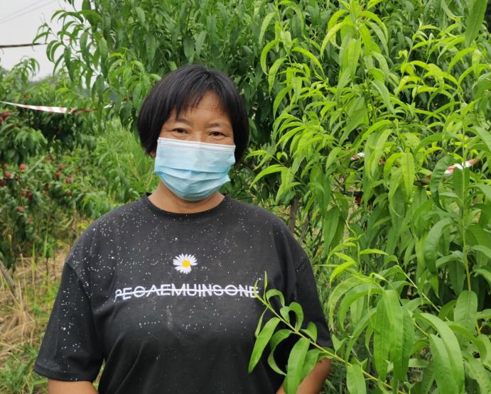 静海端午,静海夏季水果