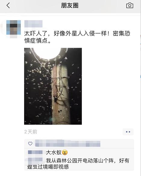 最近很多人吓得不敢开灯的视频,最近很多人被吓得不敢开灯的视频