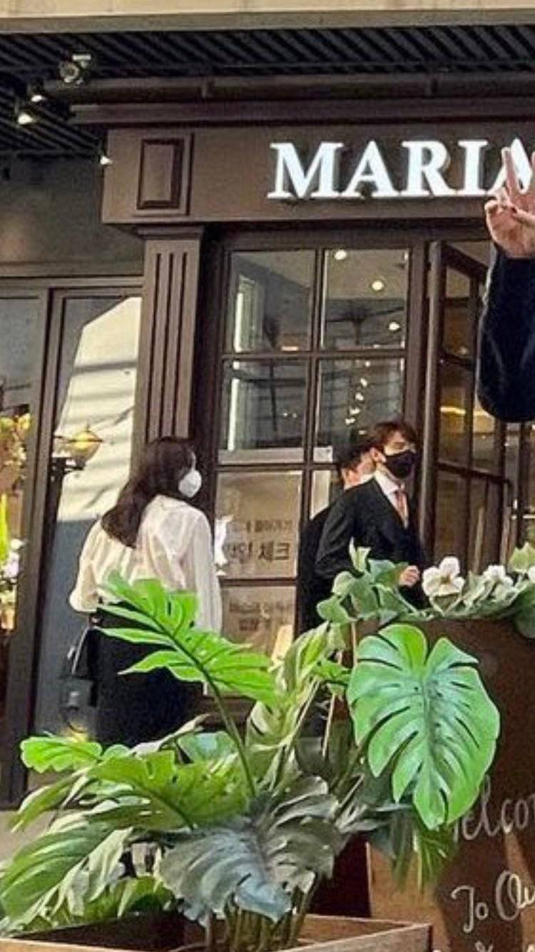 柳演锡申贤彬为什么叫wintergarden,罗英锡曺圭贤