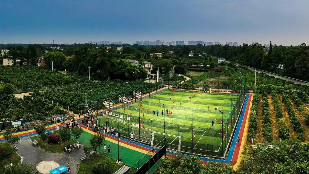 鏍戝眿鍚冪悆,鏍戝眿鐏攨