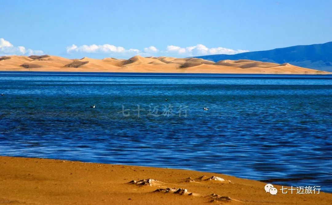 自驾游青海湖景点攻略图片最新版,青海湖自驾游必去景点攻略图