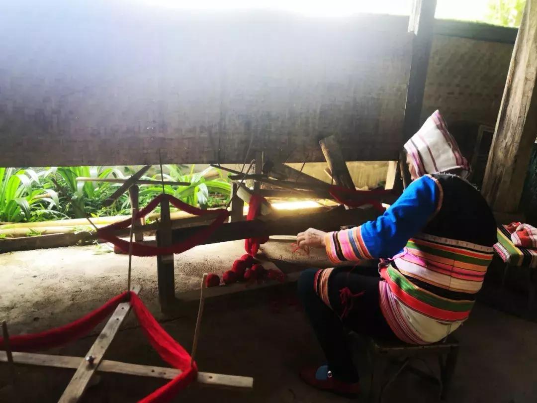 基诺族普洱茶故事,基诺山民族文化