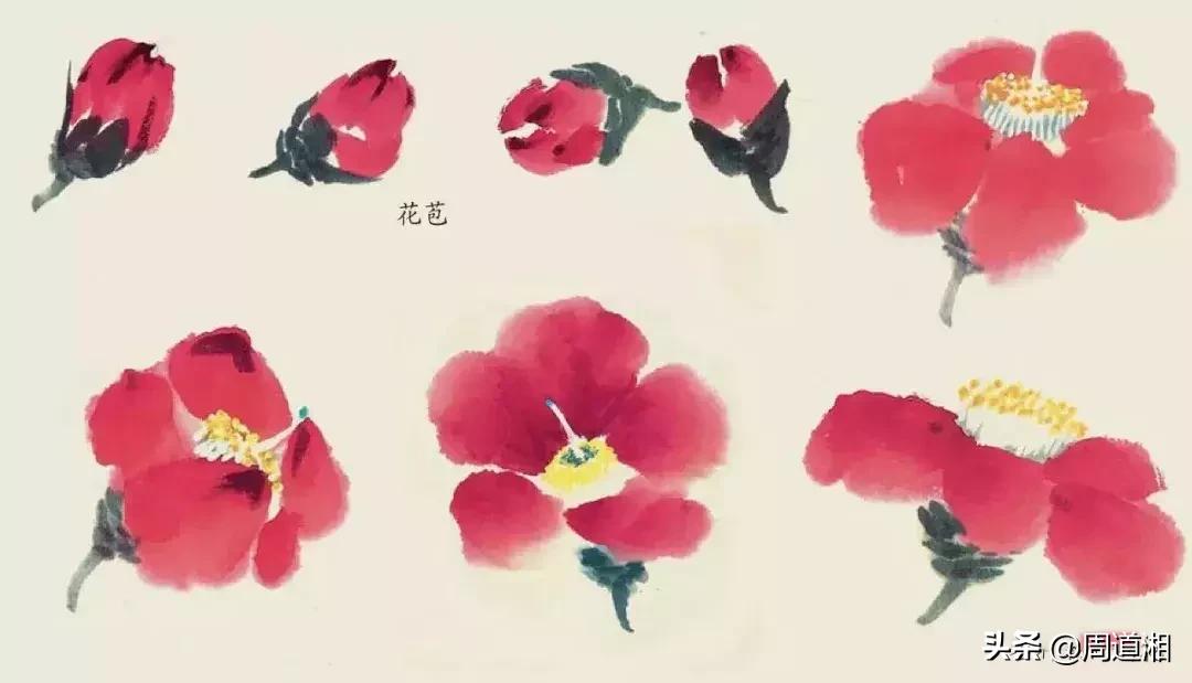 国画花卉大全教程视频,花卉小品国画图片大全