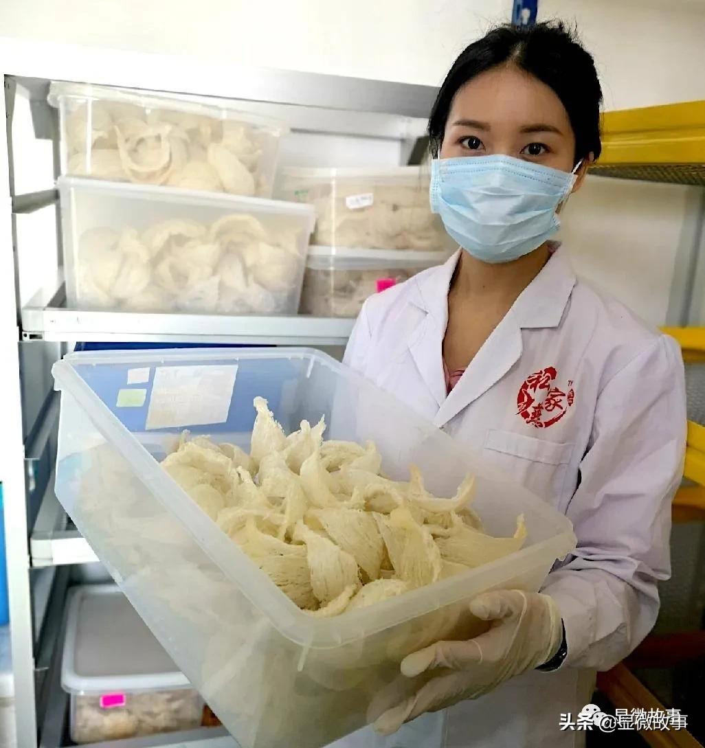 刷胶燕窝对人体伤害,刷胶燕窝索赔