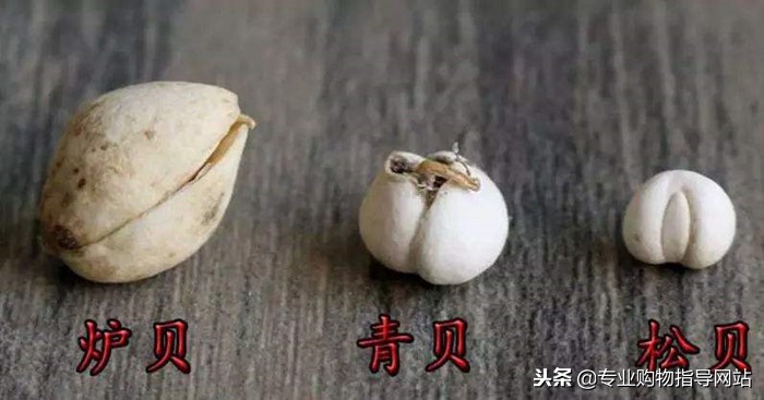 贝母冰糖炖雪梨适合哪种咳嗽,贝母加什么一起喝治疗咳嗽最好