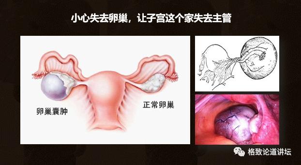 身为女人的我们如何保护好自己,作为人类我们如何保护地球