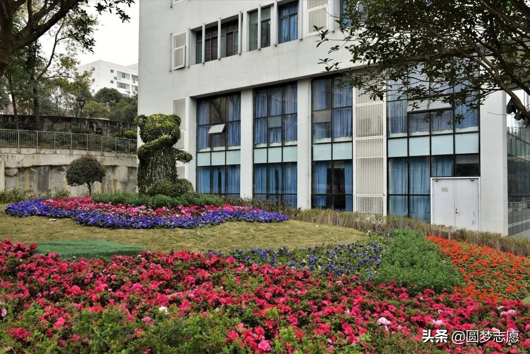 四川铁道职业学院的就业前景,四川师范大学历史系就业前景