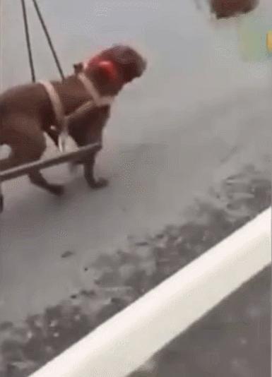 职场是个技术活分手,分手也是一种解脱