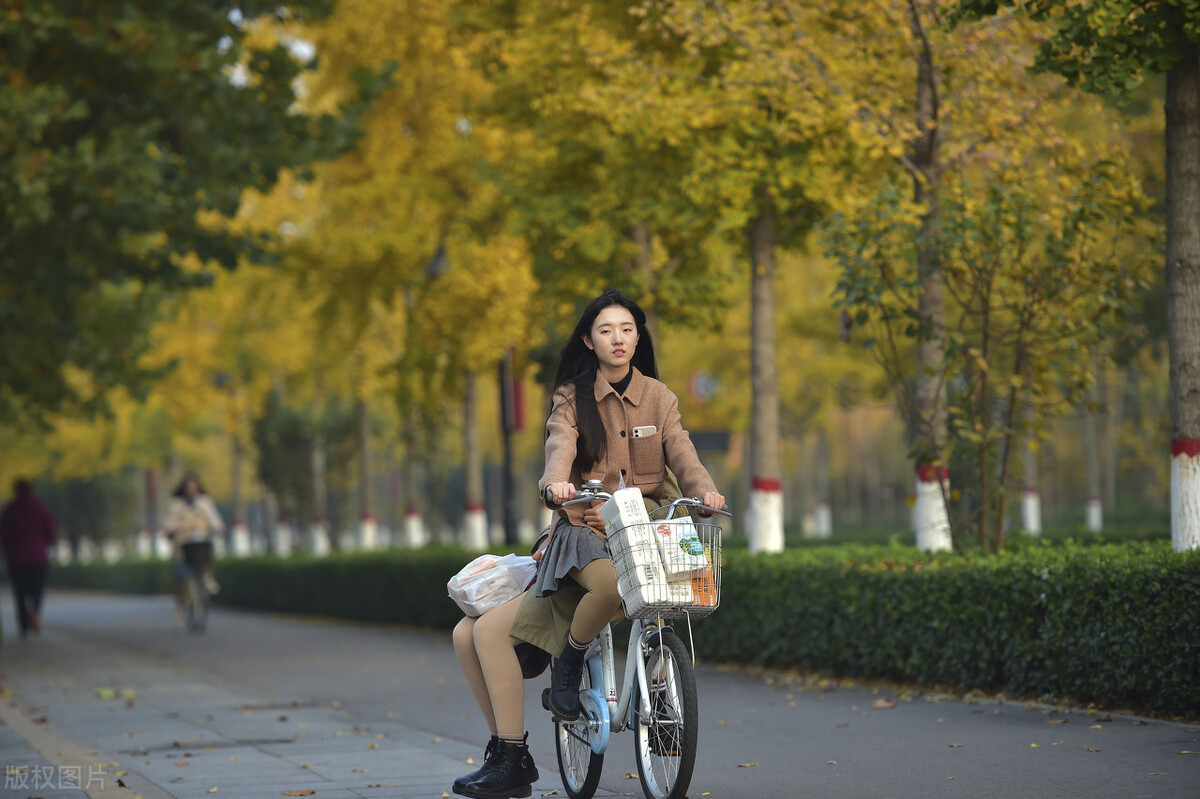 河北省内，以经济和管理专业为特色，这三所大学适合中档分数考生