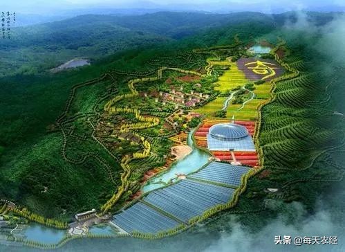 践行绿水青山就是金山银山,践行绿水青山就是金山银山的案例