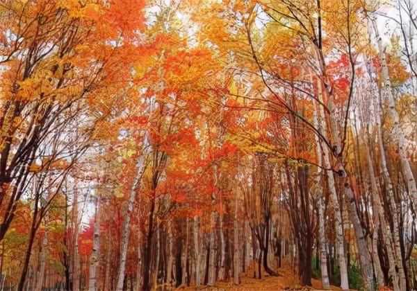 自驾游从石家庄到西安的沿途景点,石家庄周末两日游推荐景点