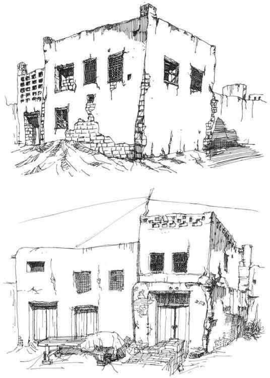 速写风景初学者入门教程,速写风景初学者入门教程植物