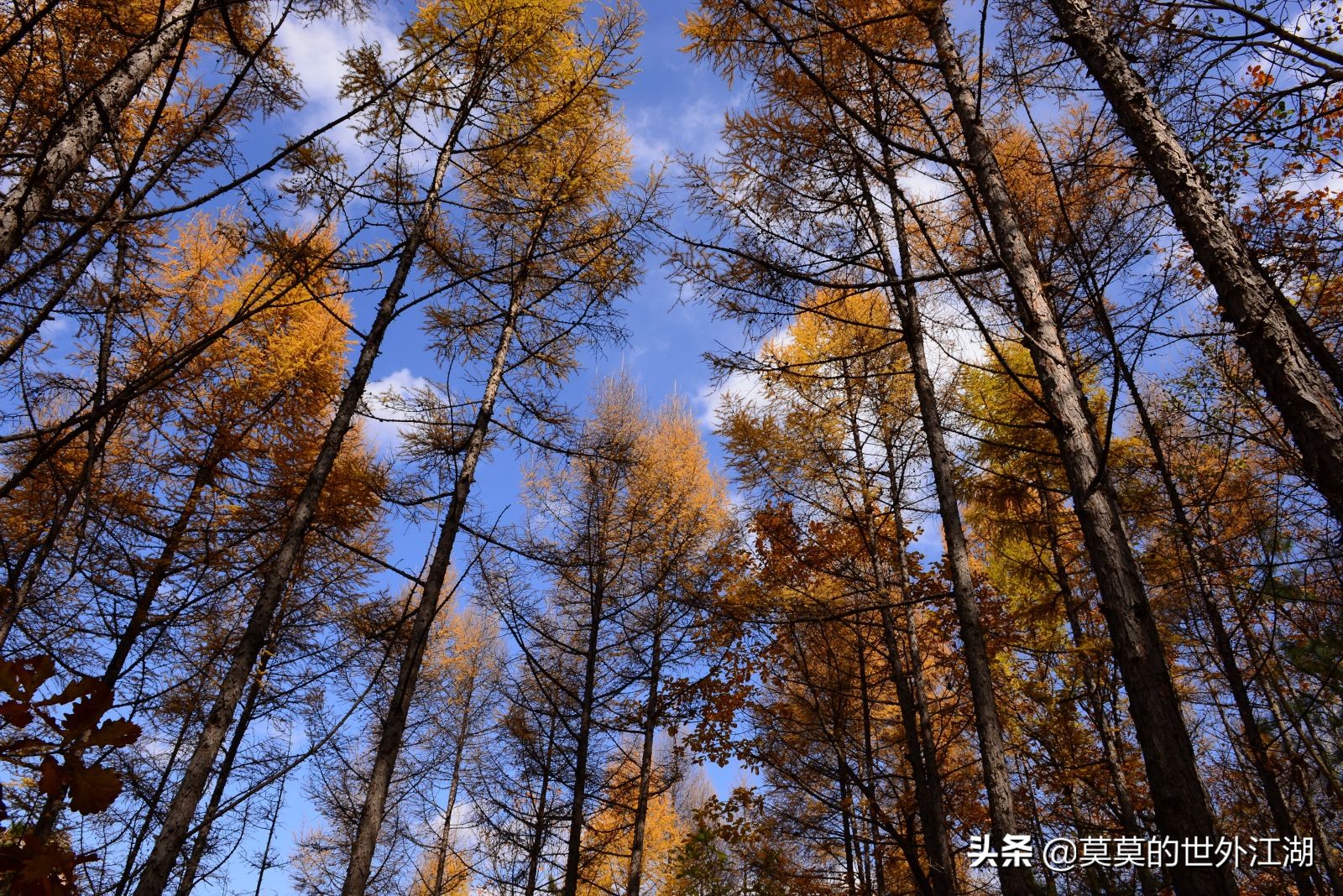 北京市怀柔区喇叭沟原始森林公园,北京怀柔喇叭沟景区