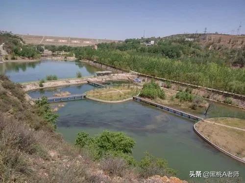 山西古交市学校,古交市最好的中学