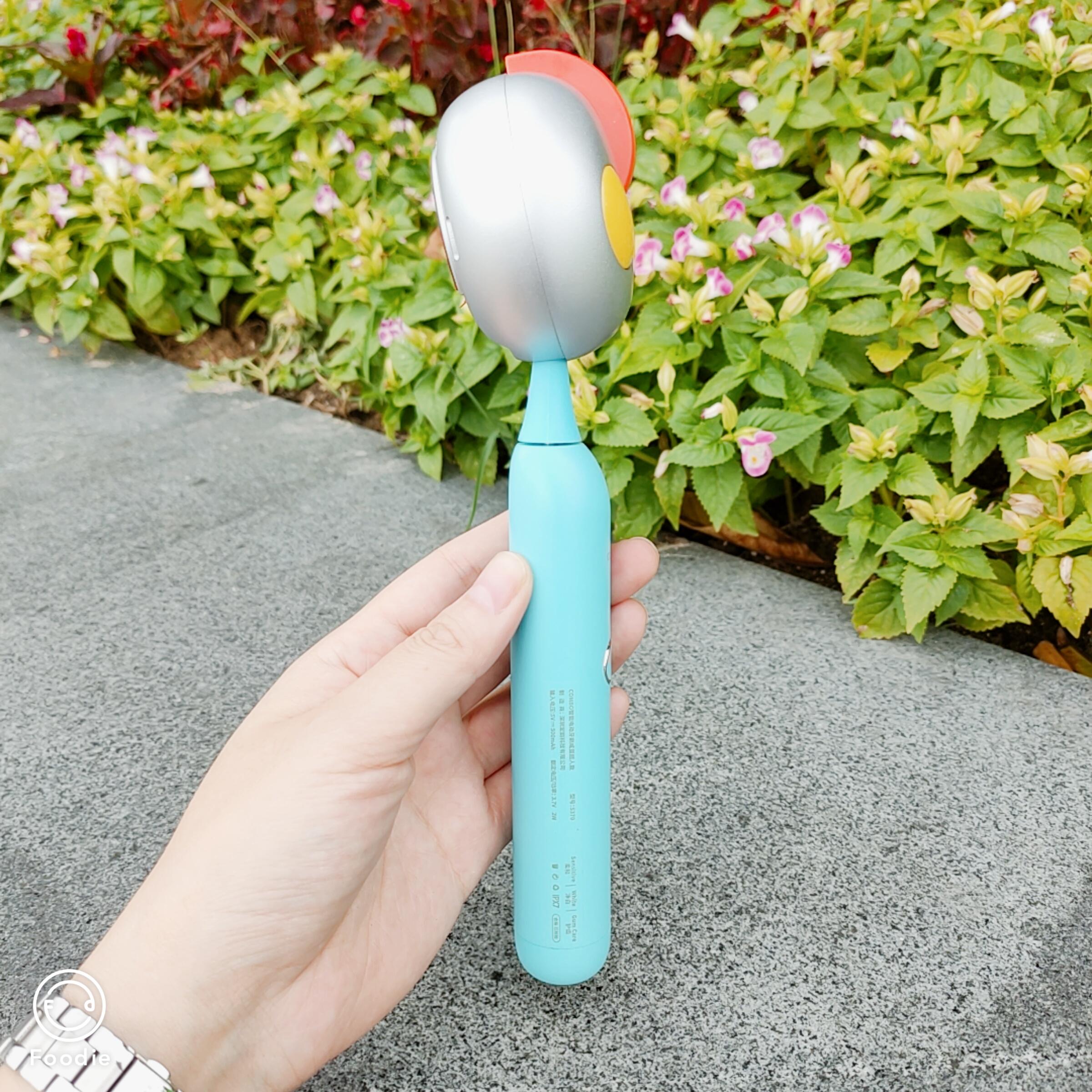 300元以内的儿童电动牙刷测评,宠物电动牙刷好不好