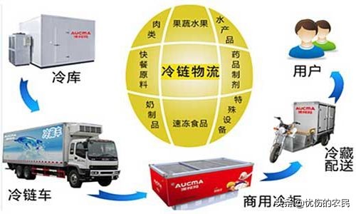 成都最火的餐饮加盟品牌,餐饮加盟排名前十的品牌