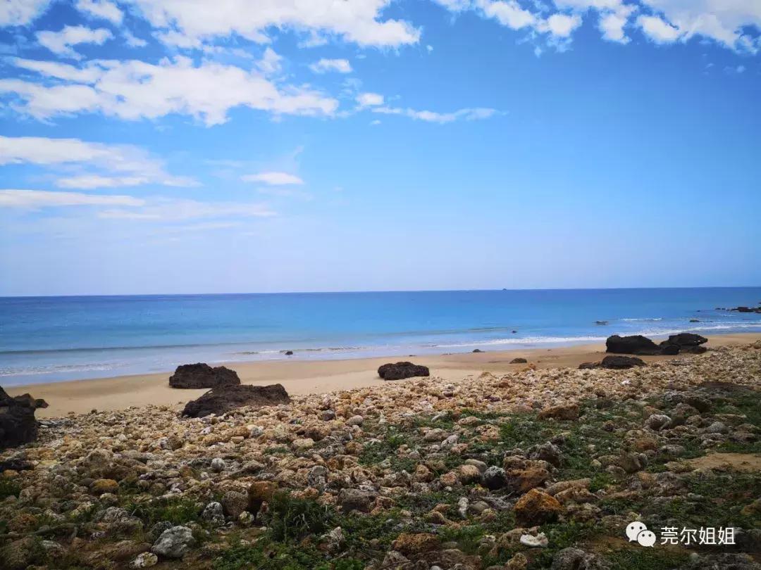 锵锵三人行之散漫游记1：台湾印象一半烟火气一半文艺范儿