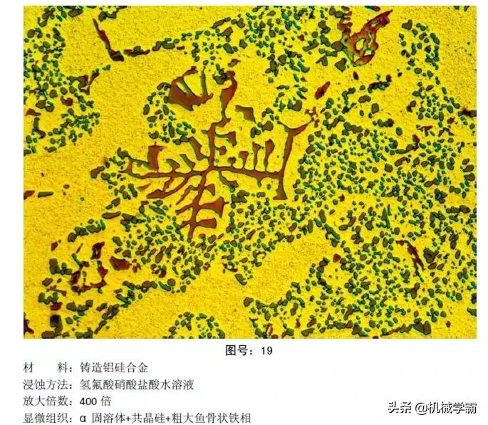马氏体、奥氏体、珠光体，20种材料彩色金相，带你轻松识别