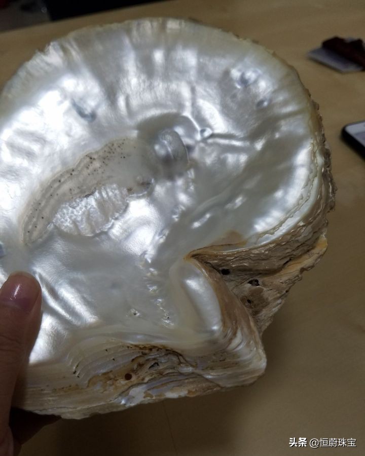 梵克雅宝四叶草灰色项链怎么保养,梵克雅宝四叶草项链怎么清洁