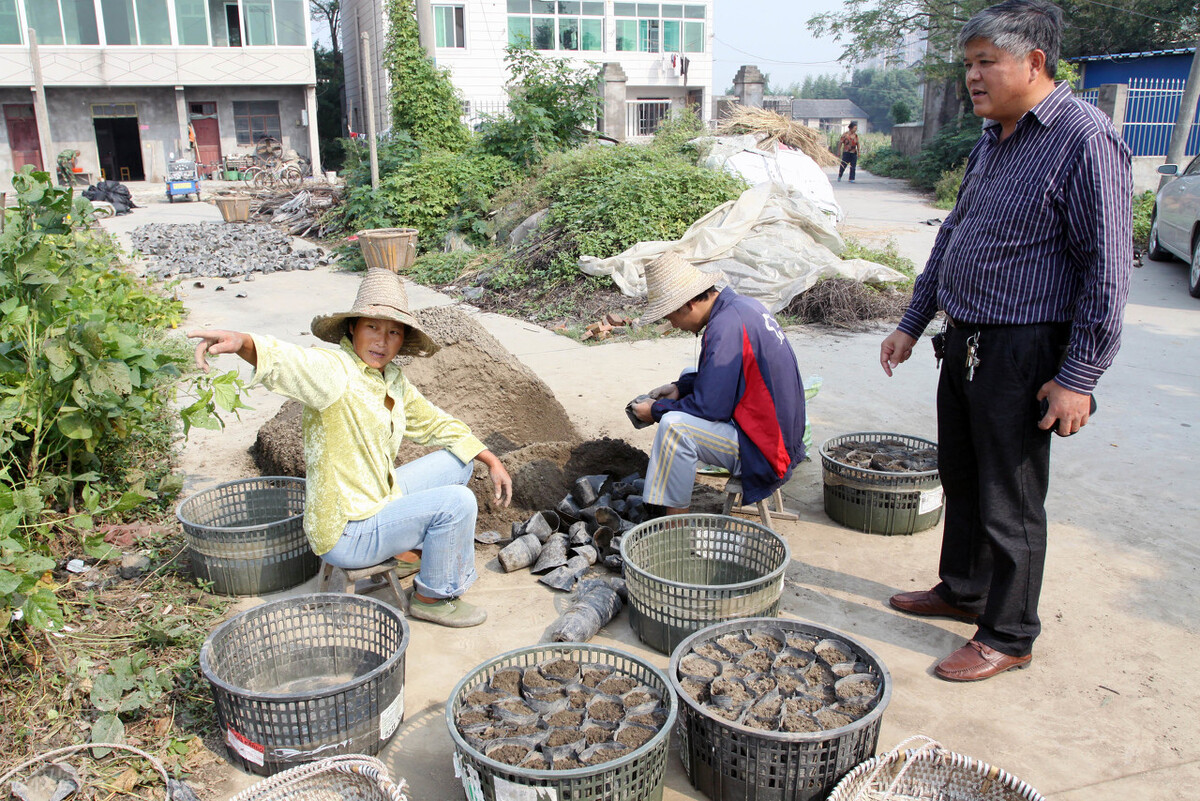 尿液对土壤有影响吗,土壤浇营养液能改善土壤吗