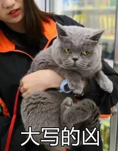 香港这家便利店的店长，靠着腮帮子走红了